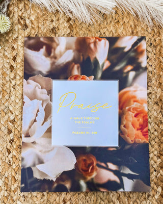 Praise: A Study on Psalms 91-120