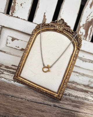 Two-tone silver chain necklace with a gold horseshoe-shaped clasp pendant, featuring modern mixed-metal styling and western-inspired charm at MaKenzie Layne Boutique.